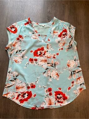 Womens Floral Sheer Blouse V Neck Size XL Lightweight Breezy Beach Eastern Blue
